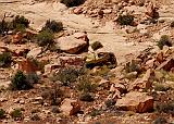 1296 Mokee Dugway